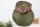 Tasche